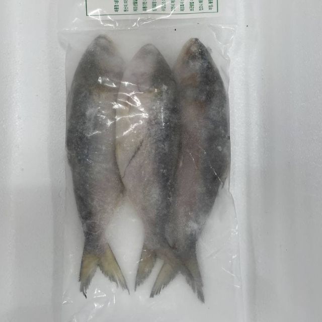 Hilsha (3pcs/1kg) 3