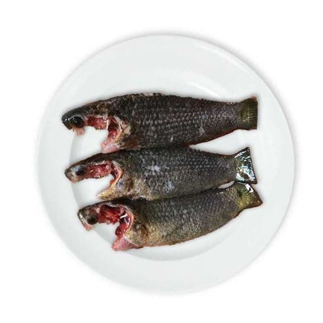 Koi  (500g)