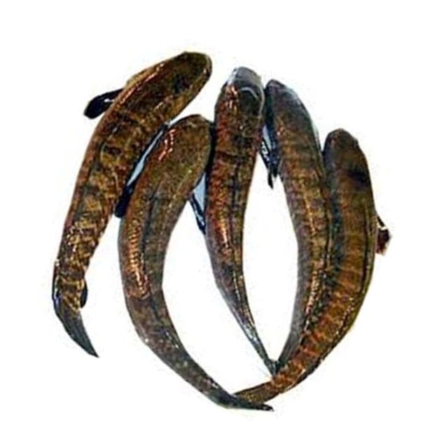 Taki Fish (500g)