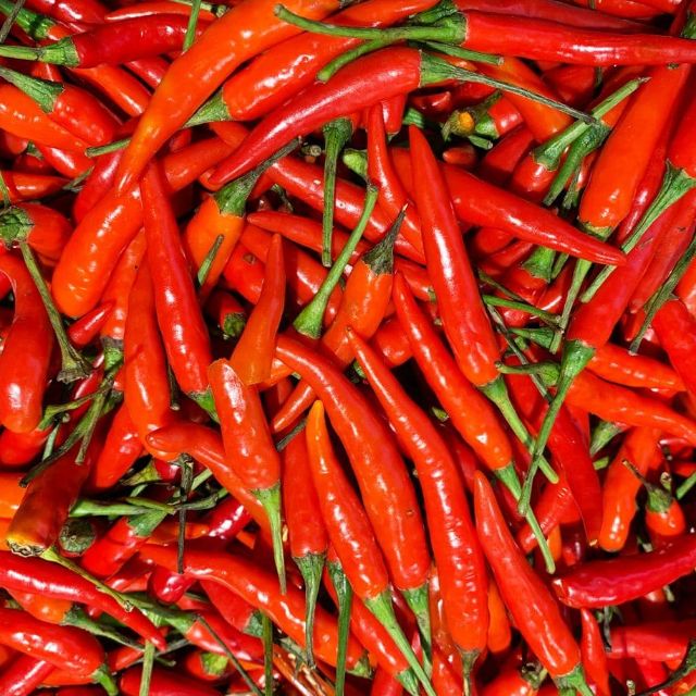 Frozen Red Chili (1kg)