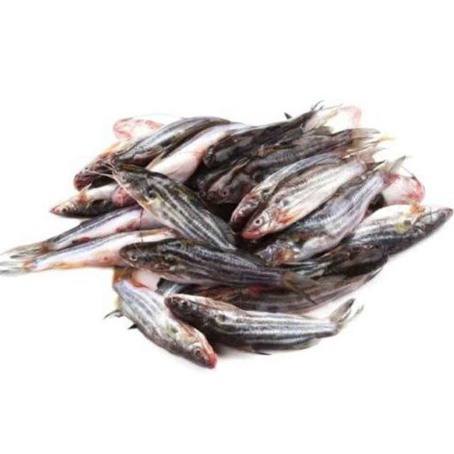 Tengra (500g)